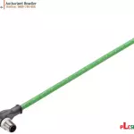 Cáp Kết Nối IE M12 D-Coded 6XV1870-8GH15