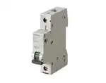 Cầu dao tự động MCB 5SL6163-7CC